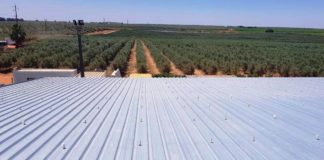 Завод оливкового масла в Испании