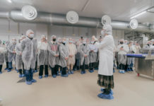 Волгоградские ученики научатся составлять меню для школьных столовых виво маркет комбинат