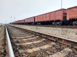 На железной дороге в Волгоградской области фиксируют рост погрузки промышленных грузов ПривЖД грузовые перевозки вагоны