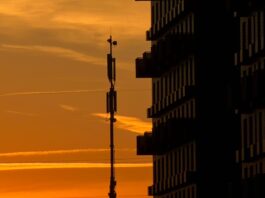 На ПМЭФ заявили о важности развития 5G для бизнеса и частных пользователей