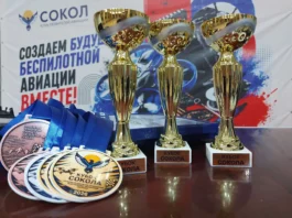 Кубок Сокола